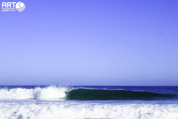 best surfing holidays